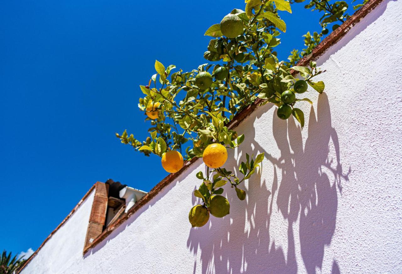 Villa Yanna Benalmádena Exterior foto